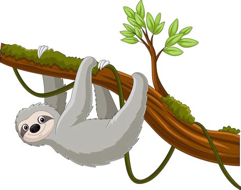 Premium Vector | Cartoon sloth hanging on a tree branch