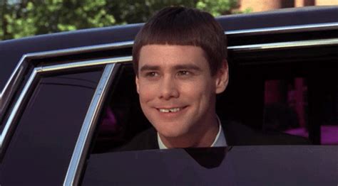 'Dumb and Dumber' Turns 25 (Classic GIFs That Prove the Funny Continue to Get Funnier)