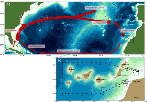 (a) Schematic circulation of the North Atlantic Subtropical Gyre... | Download Scientific Diagram