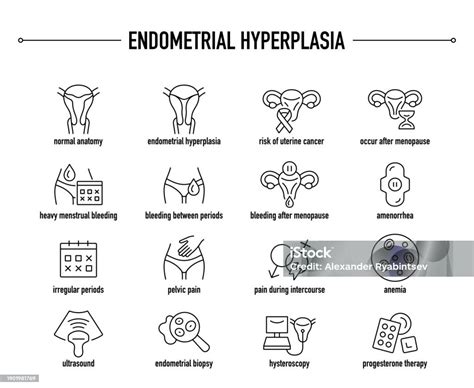 Endometrial Hyperplasia Symptoms Diagnostic And Treatment Vector Icons ...