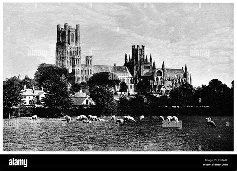 Ely cathedral england hi-res stock photography and images - Alamy