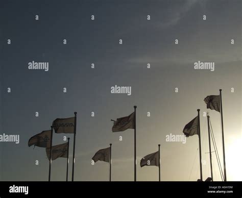 many flags blowing in wind Stock Photo - Alamy