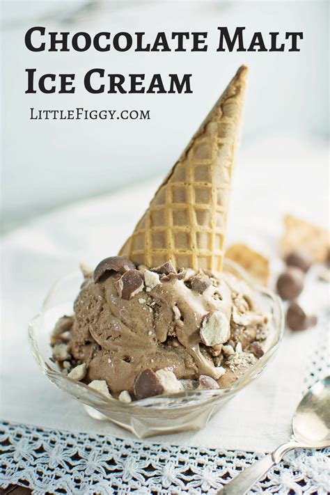 Chocolate Malt Ice Cream by Stacey M Doyle | Epicurious Community Table