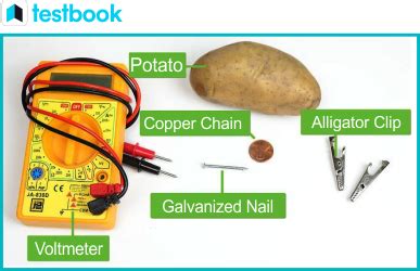 How to Make a Potato Battery? - Working Science Activity For Kids