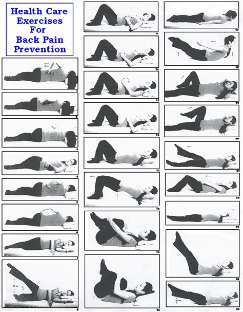 Lower Back Strengthening Exercises Pdf | Lower back exercises, Back pain, Lower back pain exercises