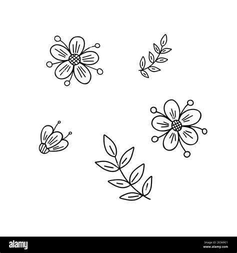 Fancy flowers, leaves set simple vector minimalist concept outline illustration, thin line hand ...