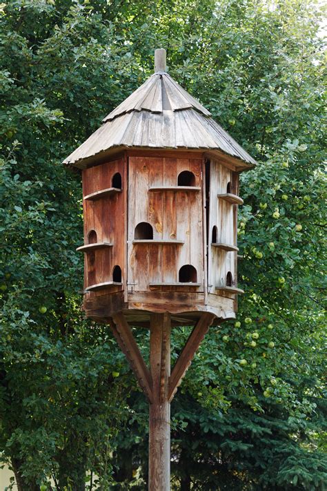 Dovecote Free Stock Photo - Public Domain Pictures