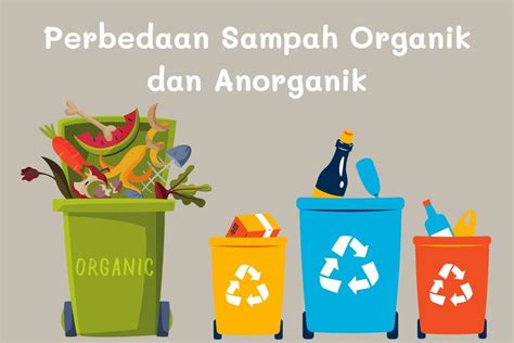 Perbedaan Sampah Organik Dan Anorganik Dan Contohnya In English - IMAGESEE