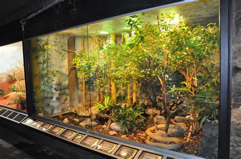 Biotope reptile terrarium | ZooChat