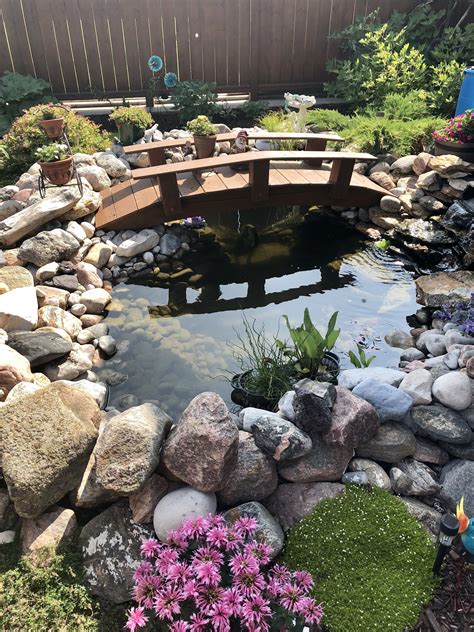 a small pond with rocks and flowers in it