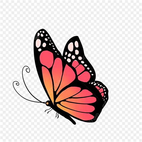 Monarch Butterfly Clipart Serangga Kartun Gaya, Kupu Kupu, Kartun ...