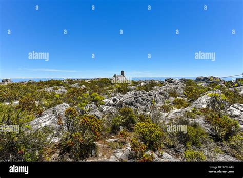 Table Mountain Top, Cape Town, Western Cape, South Africa Stock Photo ...