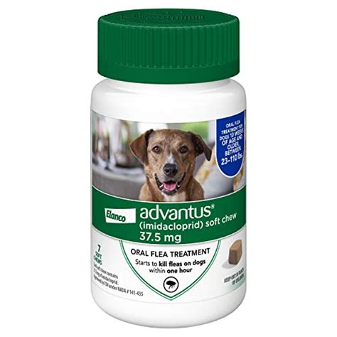 Advantus (Imidacloprid) Chewable Flea Treatment for Large Dogs, 7 Count, 23-110 Pound ...