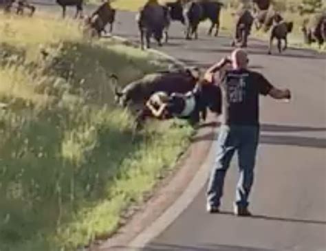 WATCH: Woman attacked by bison in South Dakota - East Idaho News