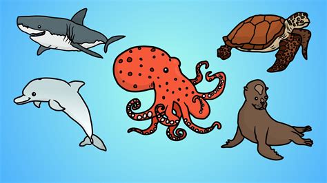 Ocean Animals Drawing at GetDrawings | Free download