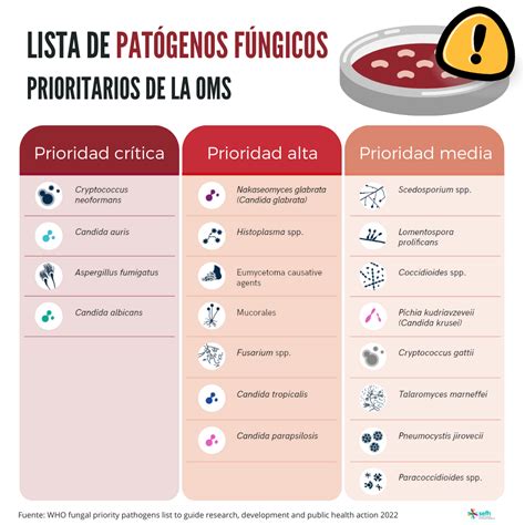 Infografías SEFH