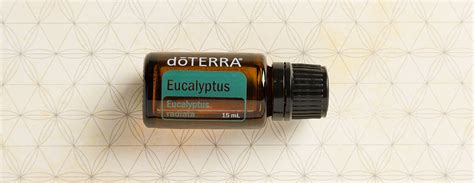 Eucalyptus Oil Uses and Benefits | doTERRA Essential Oils | dōTERRA ...