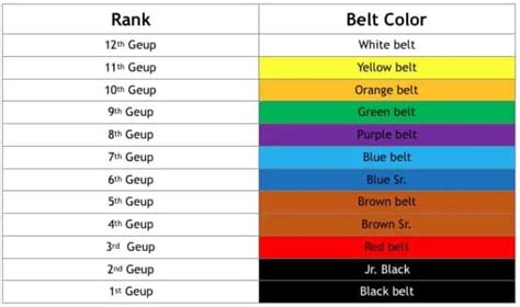 Taekwondo Belt Ranking System – EASILY Explained For Beginners – MMA Channel