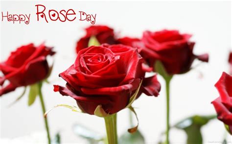 Happy Rose Day Wallpaper - Desi Comments