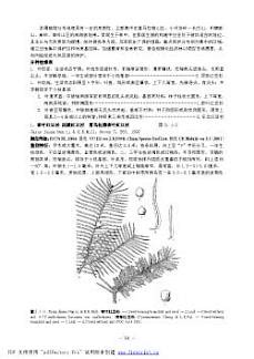 Trade and conservation of Taxus in China - Wildlife Trade Report from ...