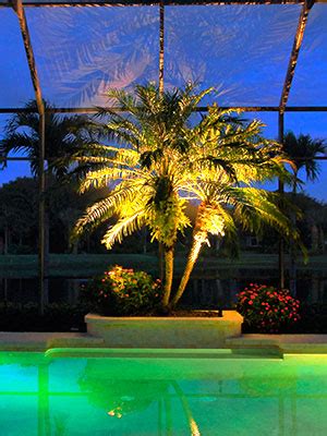 Lanai Lighting Services | Fort Myers, FL & Southwest Florida