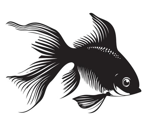 goldfish, golden fish Animal fish illustration black and white side ...