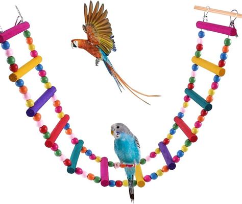 The 10 Best Budgie Toys you can buy from Amazon