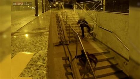 Watch: The 'baap' of all horrifying pranks? Giant mutant spider-dog chases petrified victims of ...