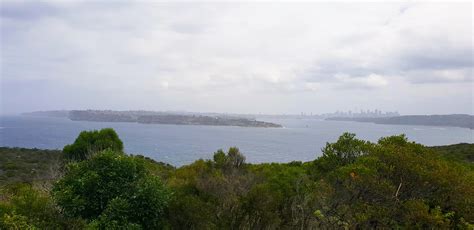 Sydney skyline in the sunset : r/sydney