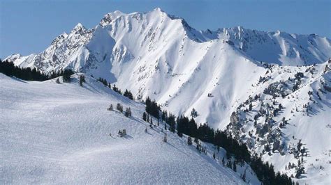 Alta, Utah | Alta ski, Utah skiing, Ski hotel