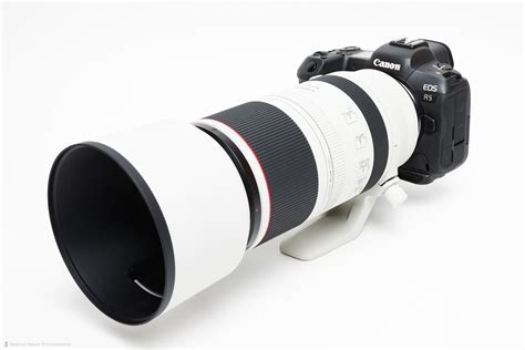 Martin Bailey Photography | Canon RF 100-500mm F4.5-7.1 L IS USM Lens ...