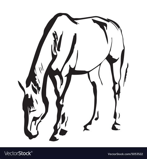 Horse painting Royalty Free Vector Image - VectorStock