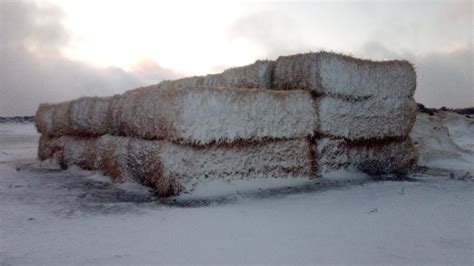 In Pictures: Snow hits Sutherland in the Northern Cape