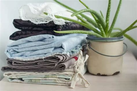 These are the 7 most sustainable clothing materials - Blog - Dressed.com