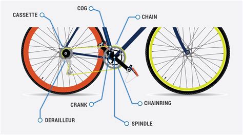 Guide To Bike Wheel at Martin Tarter blog