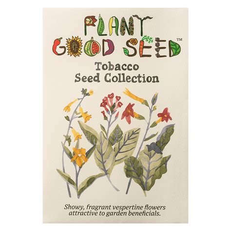 Tobacco Seeds - The Plant Good Seed Company