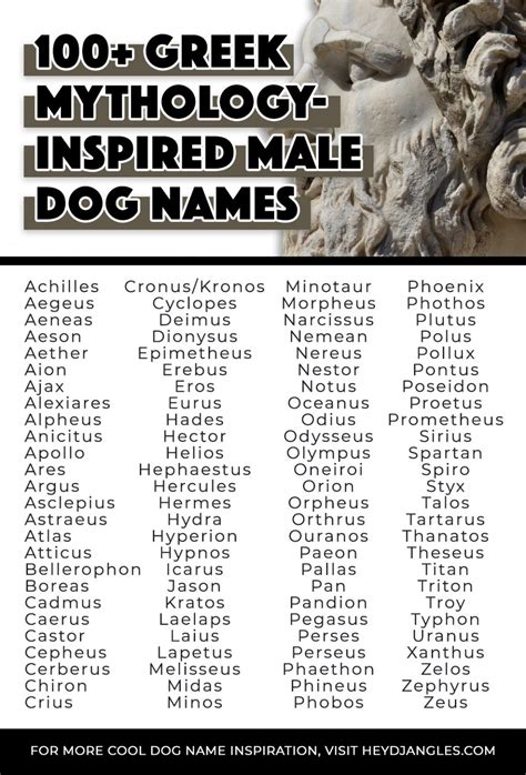 50+ Greek God Names for Male Dogs - Hey, Djangles.