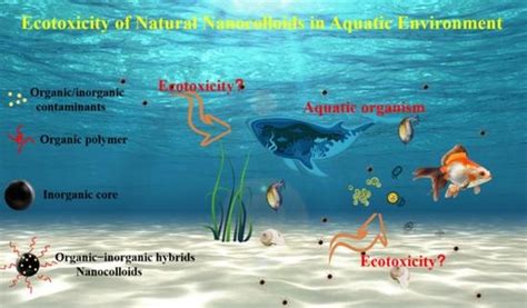 Water | Free Full-Text | Ecotoxicity of Natural Nanocolloids in Aquatic ...