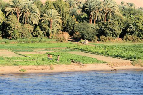 Farming on the River Nile | farming on the banks of the Rive… | Flickr