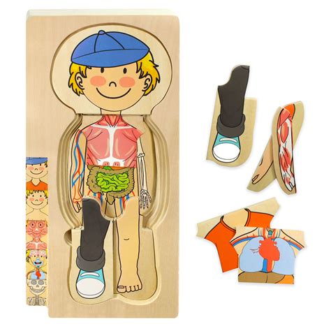 Buy Kidzlane Wooden Human Body Puzzle for Kids and Toddlers | 29 Piece Boys Anatomy Play Set ...