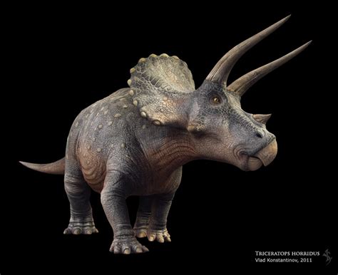 Triceratops horridus vs. Ankylosaurus magniventris | The World of Animals