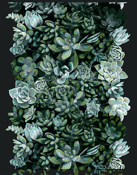 Succulent Phone Wallpapers - Top Free Succulent Phone Backgrounds - WallpaperAccess