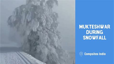 Mukteshwar during snowfall - YouTube