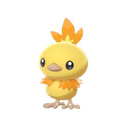 Shiny Torchic Pokemon X