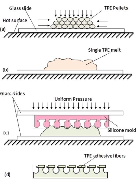 Fabrication process of SEBS thermoplastic elastomer performed by ...