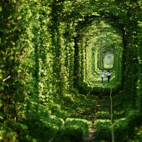 The Story Behind Ukraine’s “Tunnel of Love” | Amusing Planet