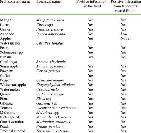 Fruits found infested with fruit fly maggots under field conditions in... | Download Scientific ...