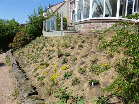 Planting Shrubs, Perennial Plants, Perennials, Aberdeenshire Scotland, Scotland Uk, Plant Design ...