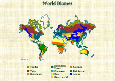 The tundra - Climate & Map