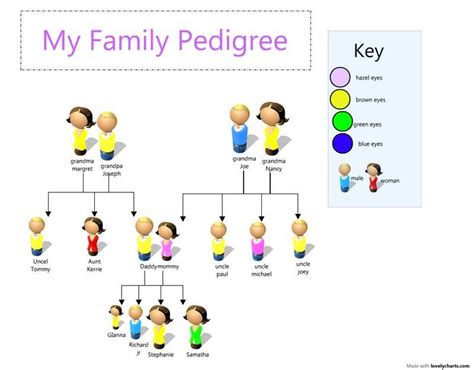 complete website package family tree eye color chart family - diagram ...